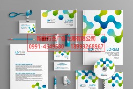 品牌設(shè)計(jì) 名片 手提袋 畫冊 整套VI 