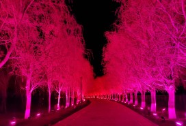 吉木薩爾天地園光影秀亮化項(xiàng)目